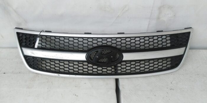 MASCARA HYUNDAI H1 (08-15)